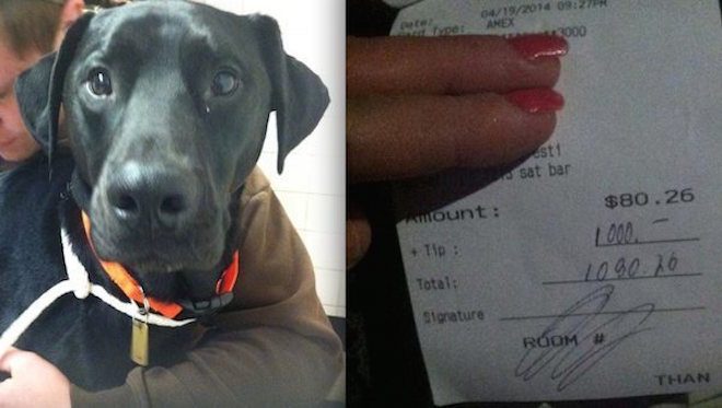 Generous Man Leaves $1000 Tip To Help Pay For Dog’s Surgery