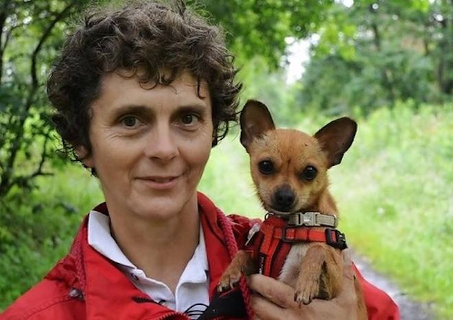 Caring Woman Reforms ‘Spoiled Rotten’ Chihuahua And Helps Him Escape Euthanasia