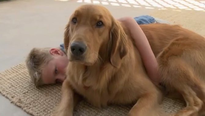 Family Was Scared To Go Out In Public Until They Got This Special Dog