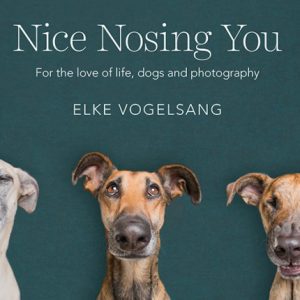 Nice Nosing You: For the Love of Life, Dogs and Photography