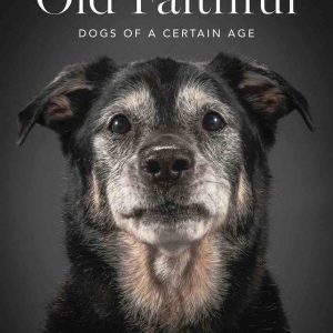 Old Faithful: Dogs of a Certain Age