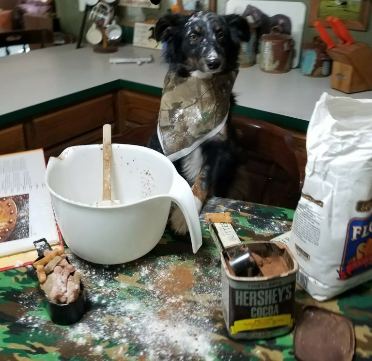 Jakey baking