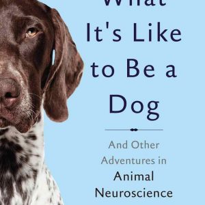 What It's Like to Be a Dog: And Other Adventures in Animal Neuroscience