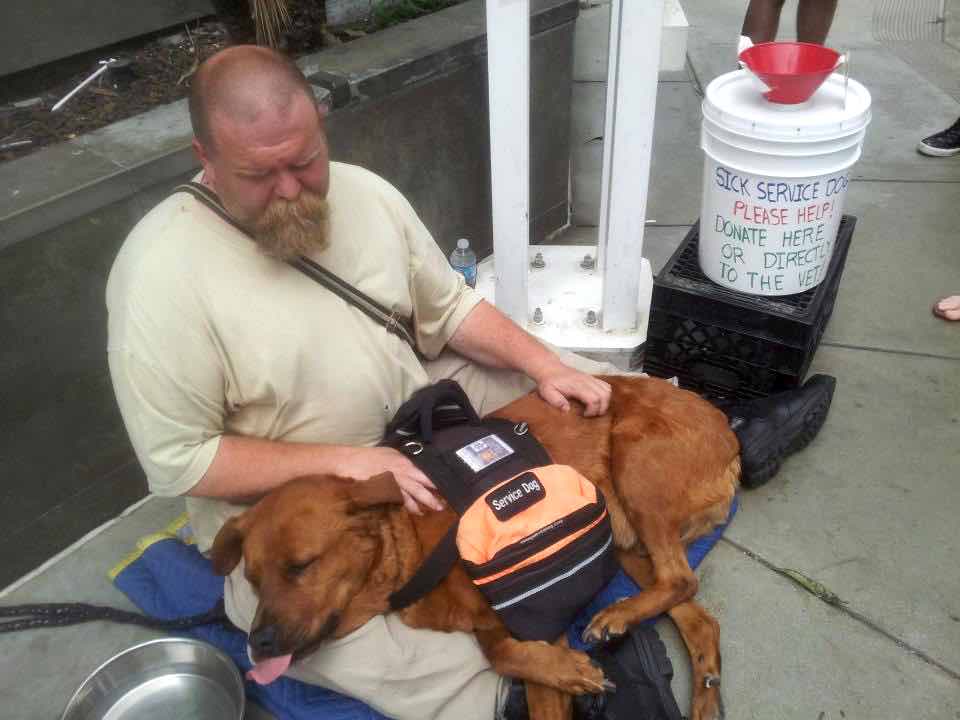 Dog Lovers Help Save Sick Dog on LA Streets After Photo Goes Viral