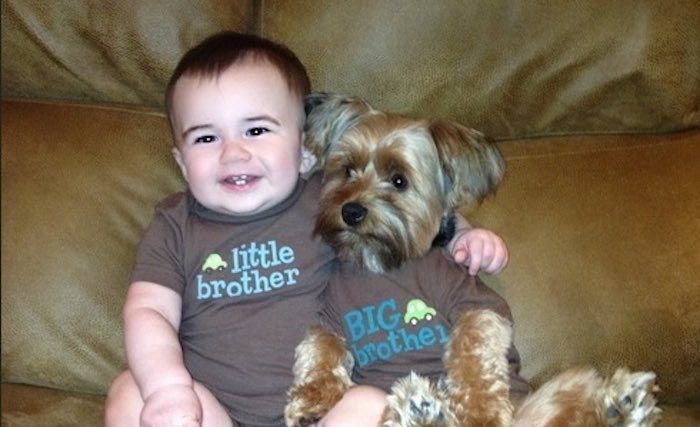 Adorable Brothers and Best Friends: Baby and His Dog Share Strong Bond