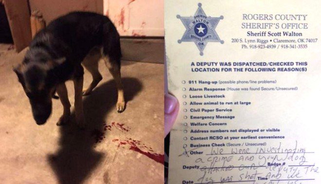 Family Finds Their Dog Badly Wounded, Then a Note From the Cops Explaining Why They Shot Their Dog