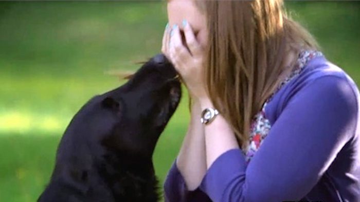 Experiment Proves Dogs Have Natural Empathy for People Who are Upset