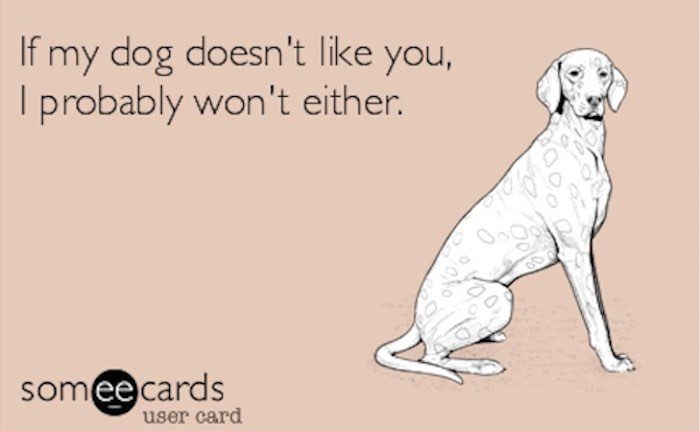 Dogs Do Not Like People Who are Mean to Their Humans According to Study