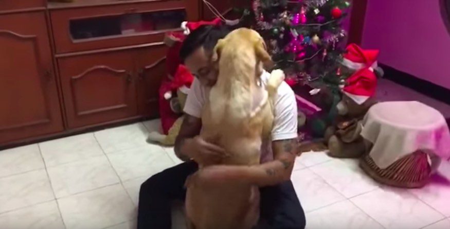 Dog Returns Home After Surgery and Gives His Dad a Big Hug