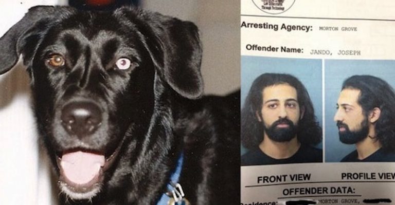 Man Who Held Dog for Ransom and Threatened to Kill Him Gets Healthy Dose of Karma Instead