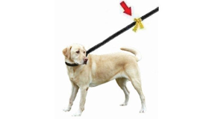 What To Do When You See a Dog With a Yellow Ribbon and Why These Pups are Wearing Them