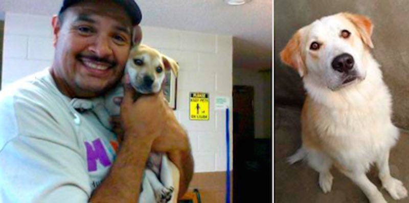 Abandoned Puppy Breaks in to Animal Shelter, Found Cuddling New Best Friend