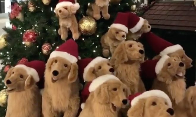Golden Retriever Decorated Christmas Tree Has One Very Special Feature
