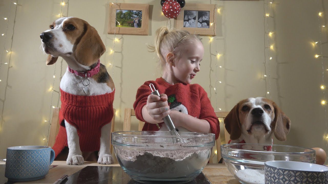 Little Girl to Makes Christmas Cookies for her Best Friend Dogs