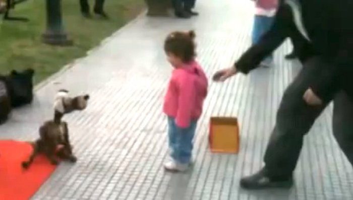 Young Girl Captivated By Amazing Puppeteer and His Dog