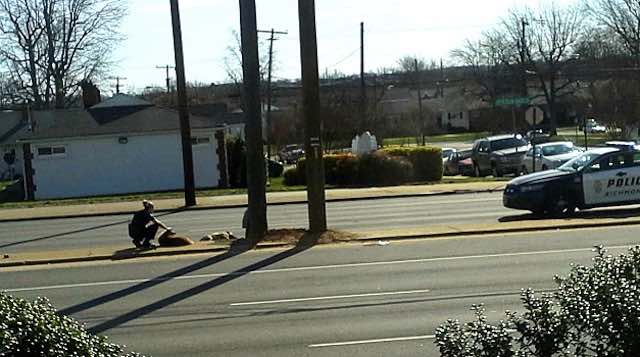 Police Officer Stops To Save The Life of Distressed Dog Who Just Lost a Friend