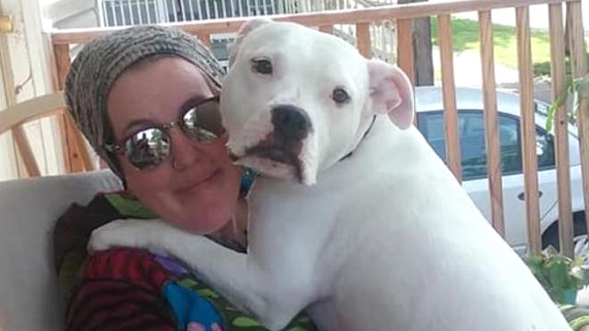 Rocco the Pitbull