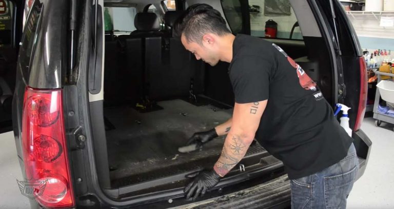 How to Effectively Remove Dog Hair from Your Car