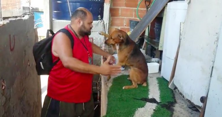 dog and owner embrace