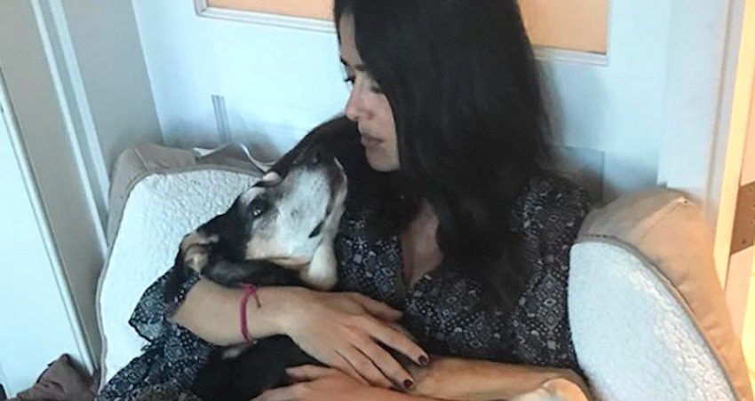 Salma Hayek Shares Heartfelt Tribute After Beloved Rescue Dog Lupe Dies