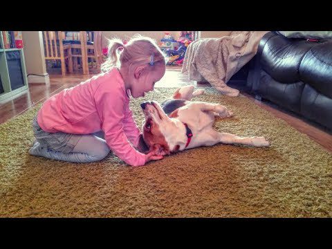 Why Children Should Have a Dog