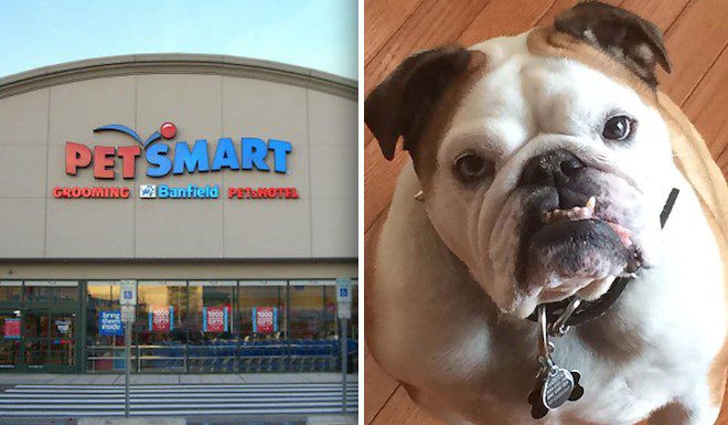 Two Dog Owners Say Their Dogs Died After Groomings at a PetSmart