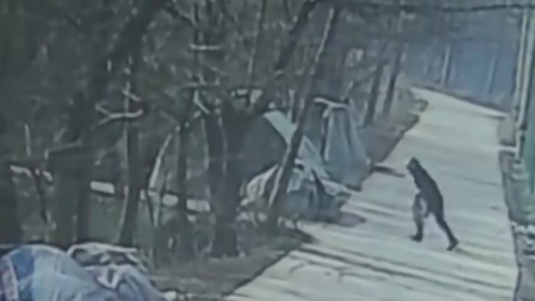 Dog Owner Kills Man Suspected of Poisoning His Dog