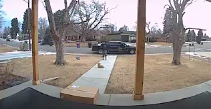 Home Security Camera Catches Man Stealing Dog From Front Yard