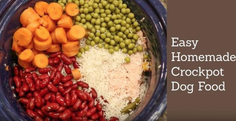crockpot dog food recipe
