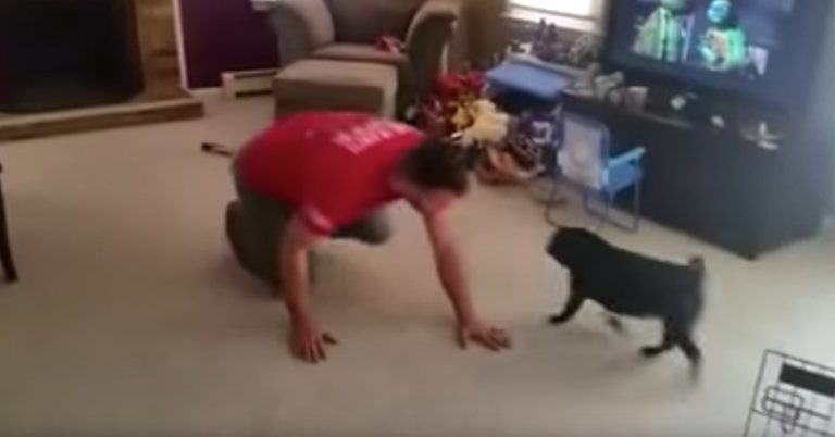 dog motivates family to workout
