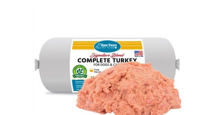 Several Dog Food Brands Recalled Over Salmonella Dangers