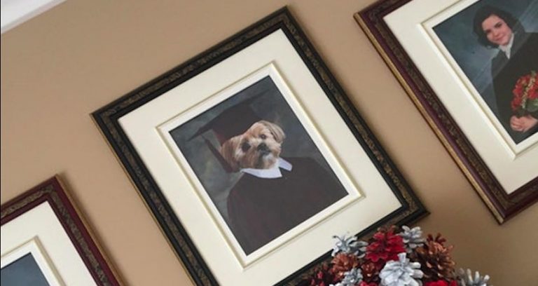 Dog Gets Very Own Graduation Picture Beside His Humans