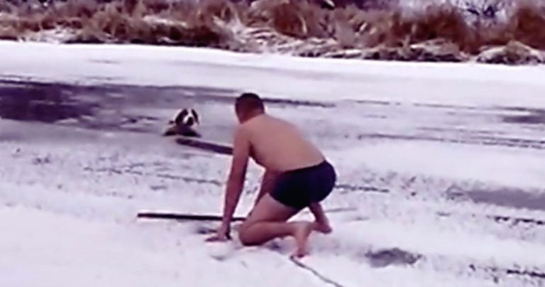 dog rescued from ice