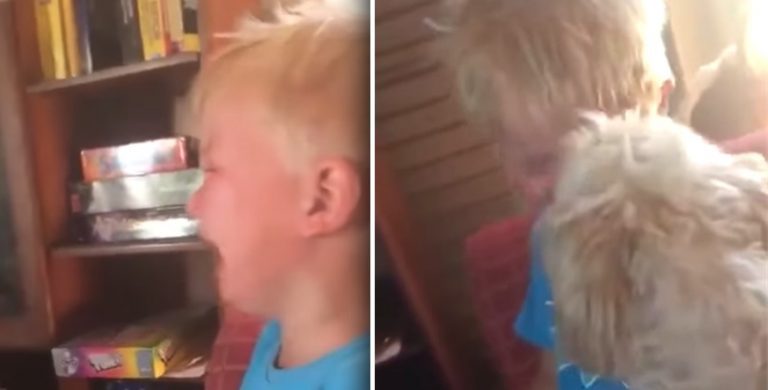 dog comforts kid