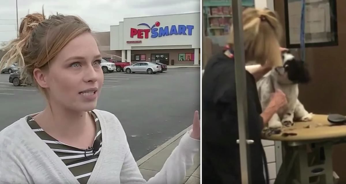 Woman Catches Dog Being Mistreated by PetSmart Groomer on Video