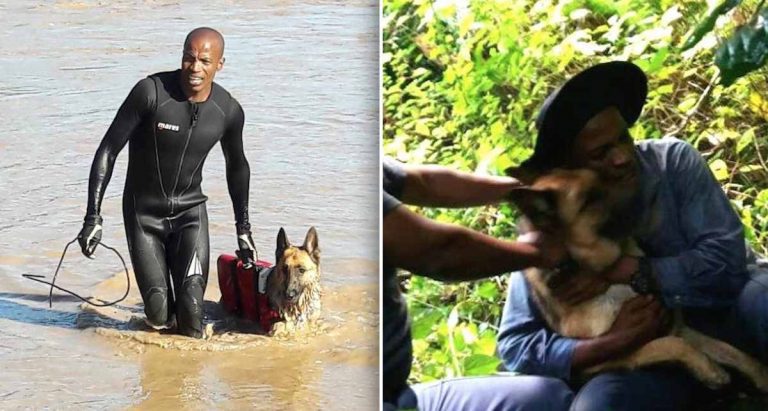 missing k9 found