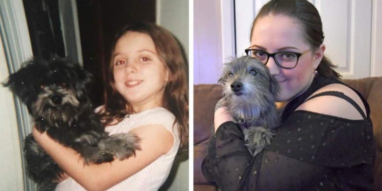 Woman Adopts Senior Dog Only To Realize She is the Childhood Dog She Had to Give Up