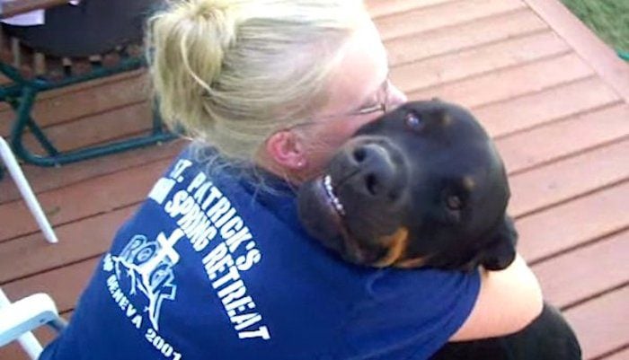 Rottweiler Purrs When His Mom Gives Him a Cuddle