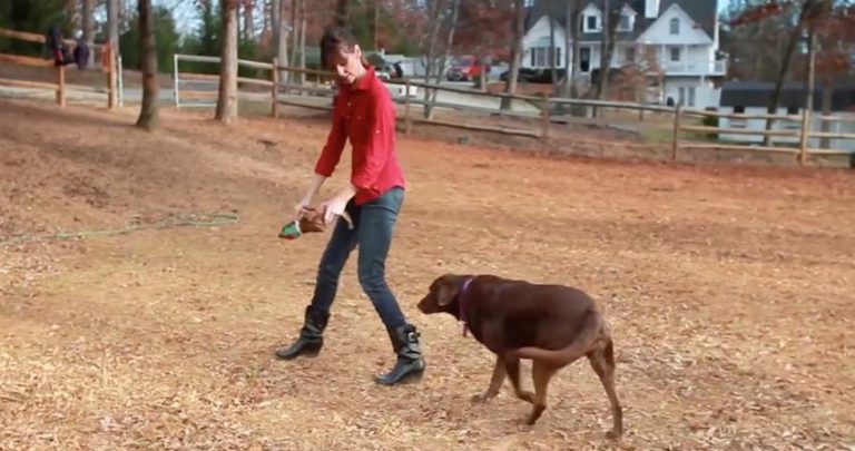 Teaching Your Dog to Come When Called – The Recall Command