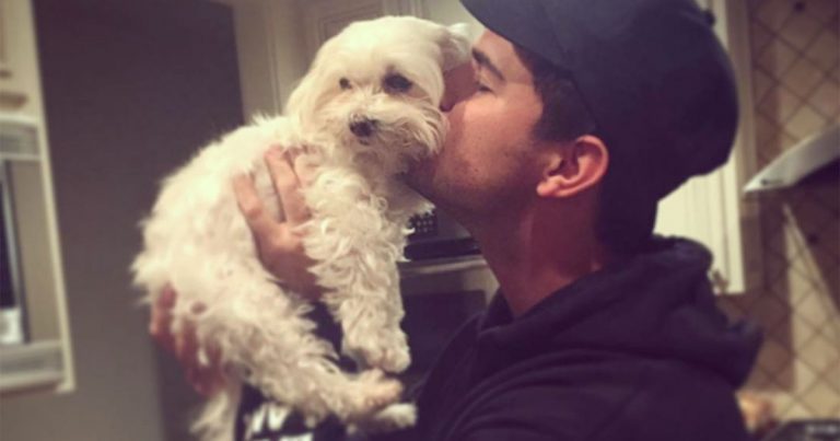 Actor Taylor Lautner mourns his dog's death