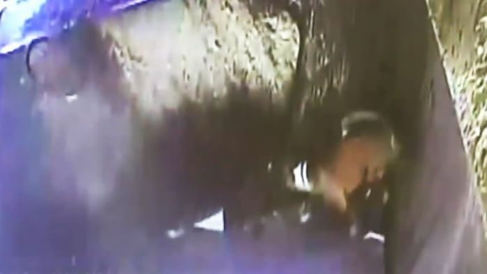 dog survives inside garbage truck