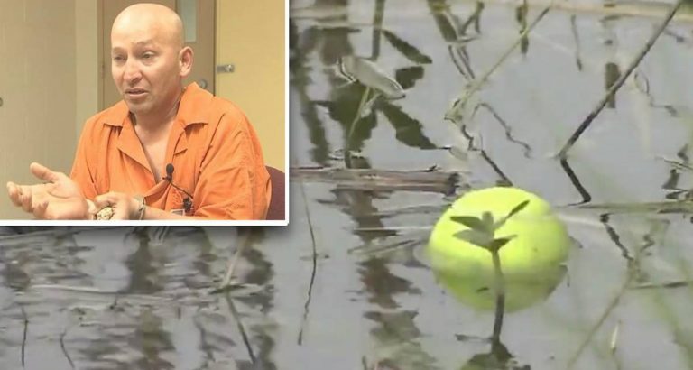 Man Arrested After Dog Wearing Weighted Belt Drowns