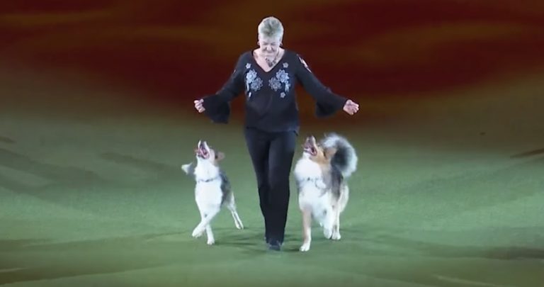 Mary Ray final heelwork to music performance