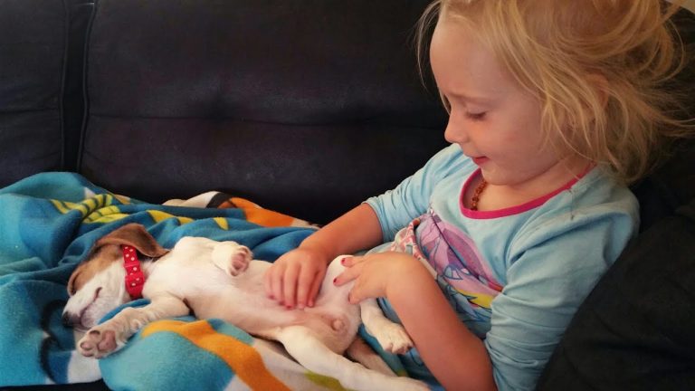 Crying Puppy Wants to be Close to Her Best Friend