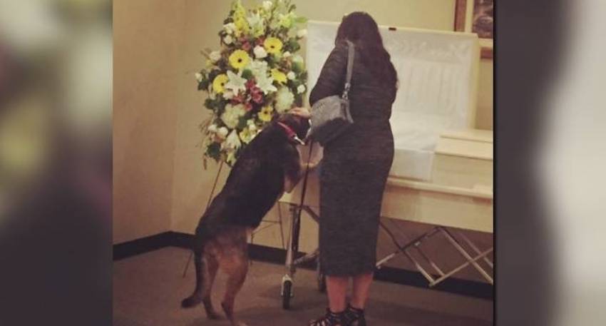 Dog Stands At Casket to Say Goodbye to Owner in Heartbreaking Scene