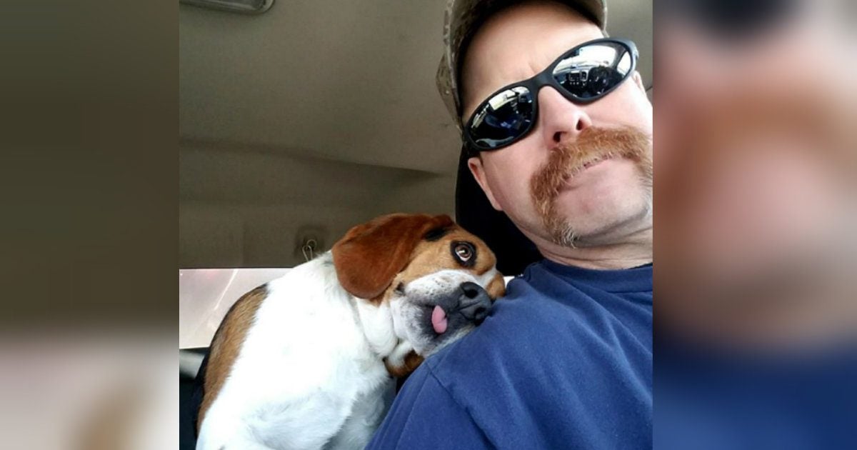 Beagle Saved from Death Row Hugs His Rescuer in Sweetest Freedom Ride