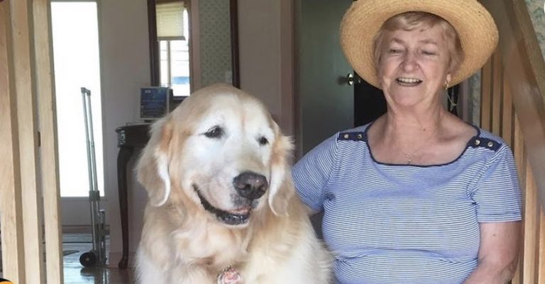Senior Dog Always Wants to Visit His Favorite Neighbor