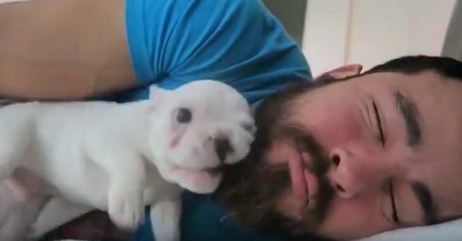 Man’s New Puppy Alarm Clock is the Most Adorable One in the World