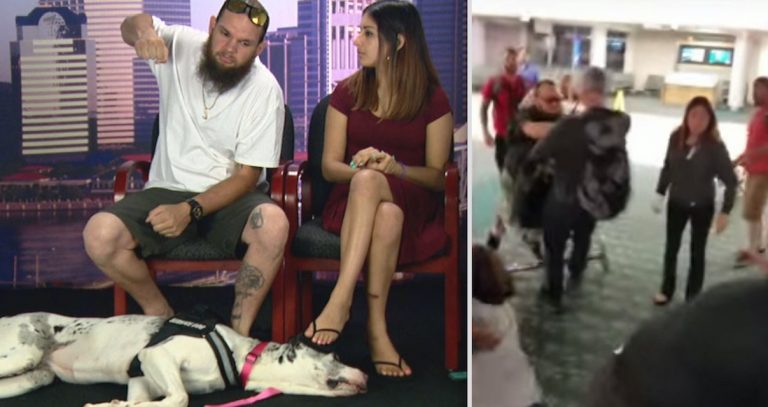 Man Accused Of Punching Service Dog On Plane
