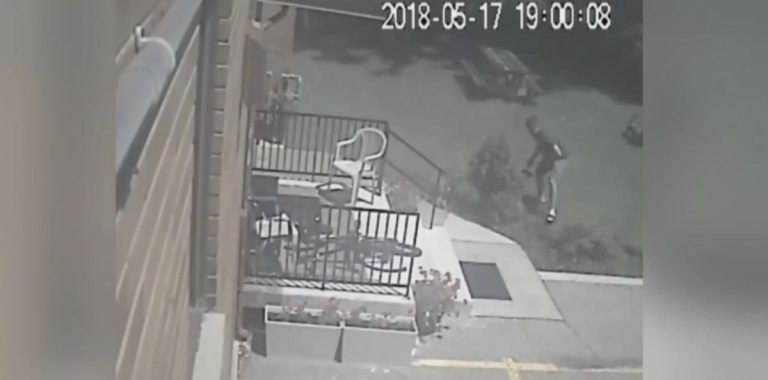 Man Suspected of Viciously Beating Dog in Disturbing Video Turns Himself in to Police